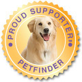 Please adopt! It's the right thing to do!